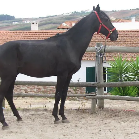 Quinta Do Forno Vimeiro (Lisbon)